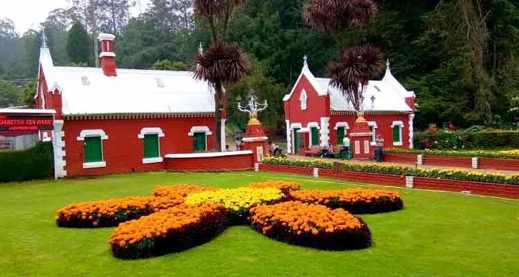 Travel To Ooty