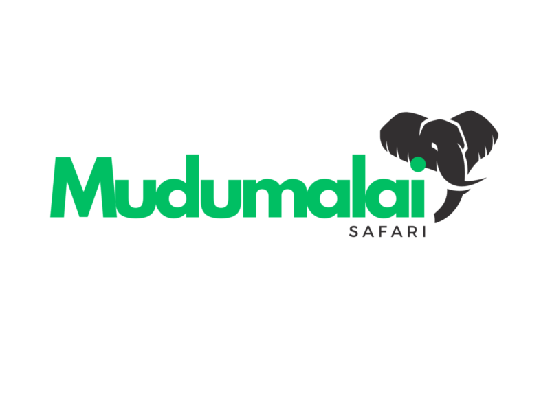 Mudumalai Safari