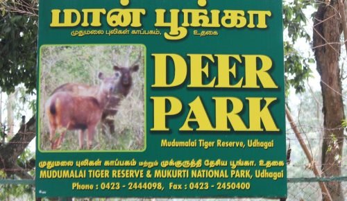 1200px-DeerPark-ooty-board