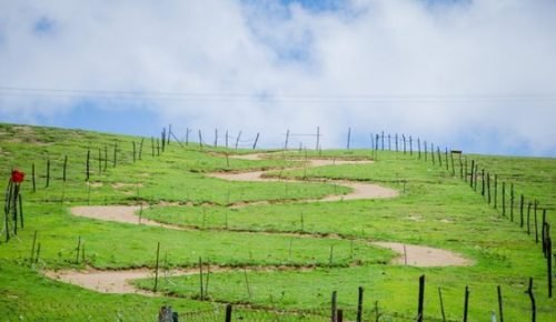 20200321064324_1584773004