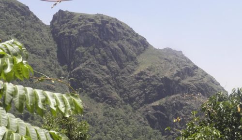 62662036-1494-426b-becd-66921b025c96