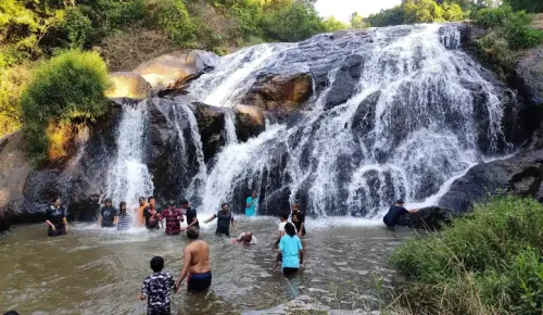 catherine water falls trekking