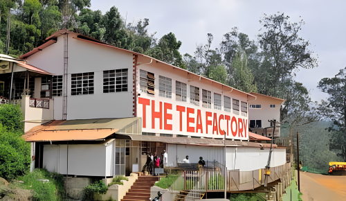 ooty-tea-estate-tea-factory