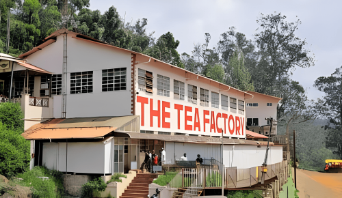 ooty-tea-estate-tea-factory